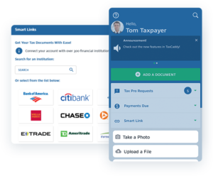 tax caddy account example