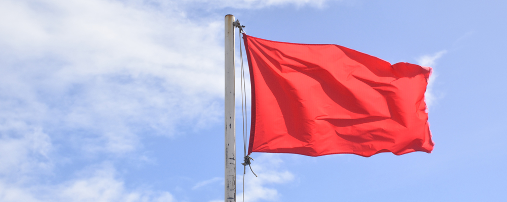 Red Flags Cyber Insurance for Non-profits