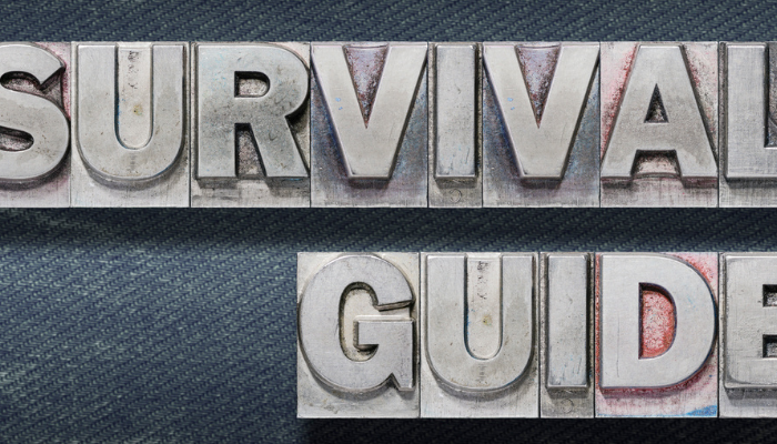 8(a) Survival Guide