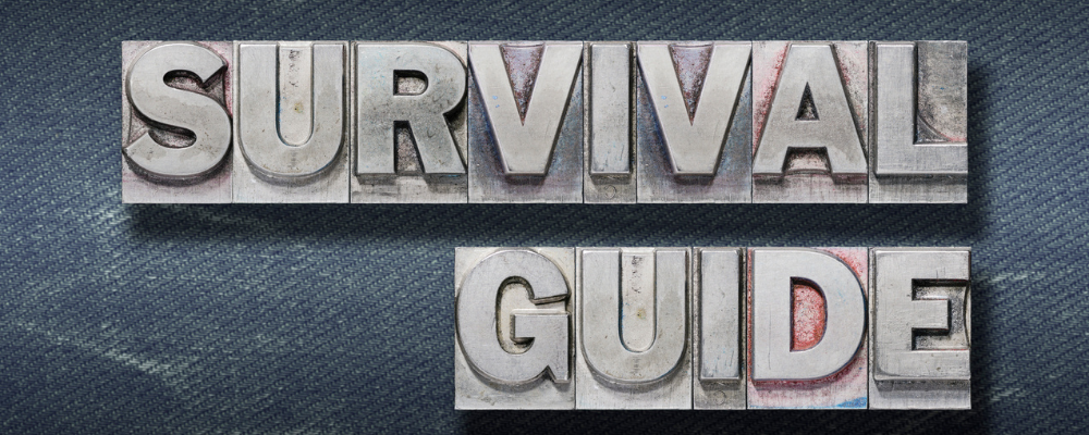 8(a) Survival Guide