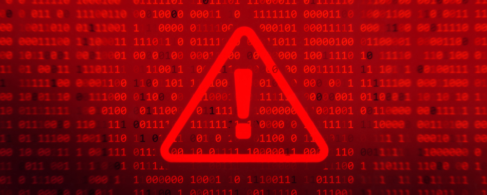 Found Fraud? Here’s What to Do Next