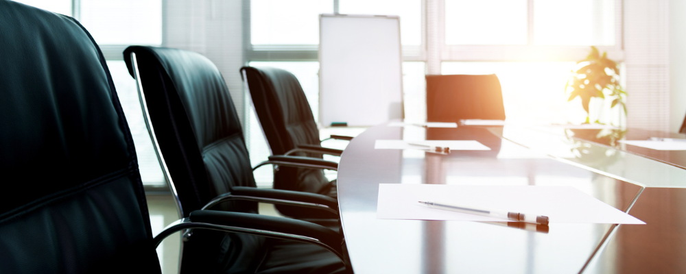 Mitigating Governance and Leadership Risks in Nonprofits: Strengthening Foundations for Long-Term Success