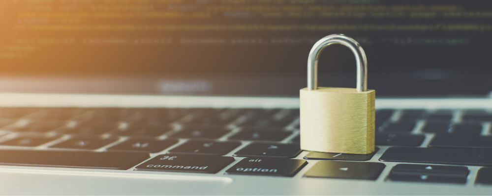 Privacy and Confidentiality in SOC Examinations: Safeguarding Sensitive Information
