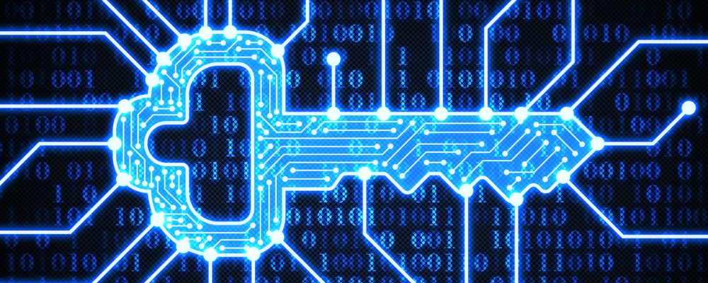 Key Internal Controls for State & Local Government