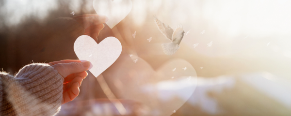 How Nonprofits Can Prepare for New Charitable Giving Rules in 2026