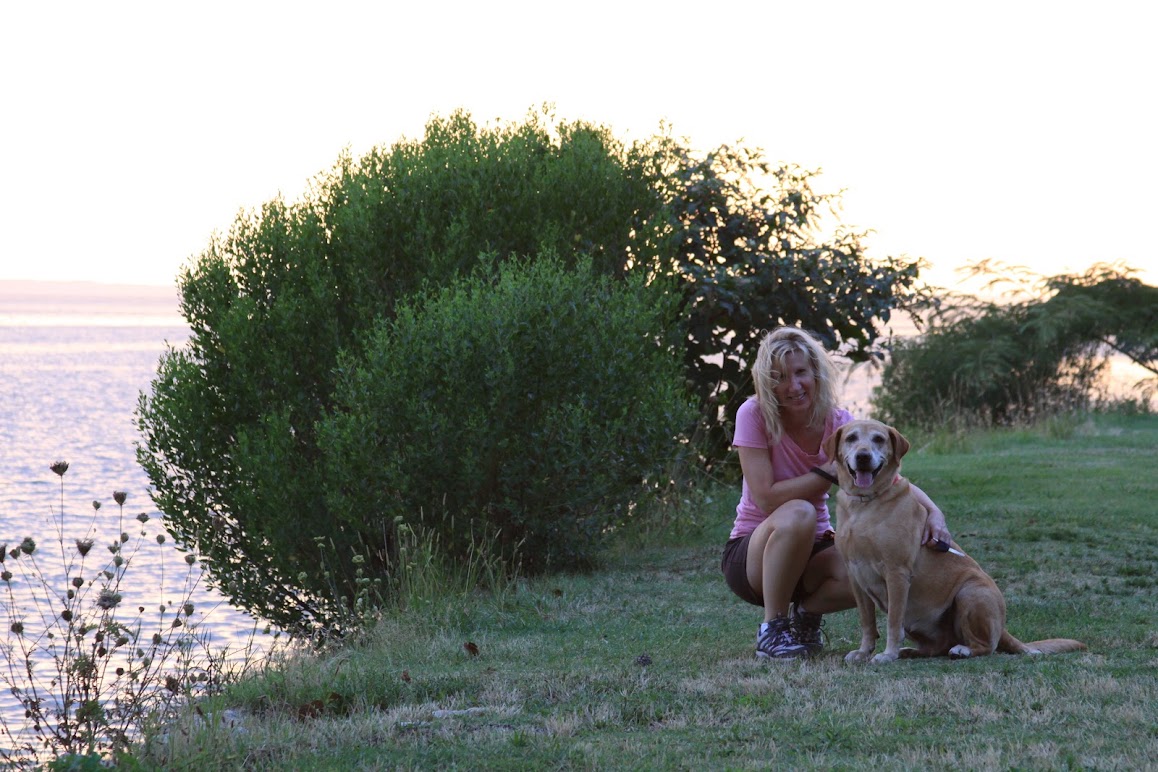 dog and staff on trail